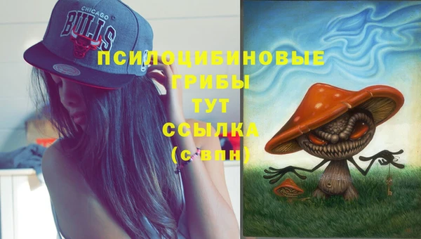 Альфа ПВП Всеволожск