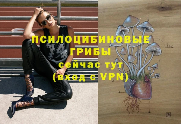 мескалин Арсеньев