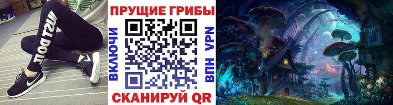 наркошоп Малоархангельск Галлюциногенные грибы Magic Shrooms